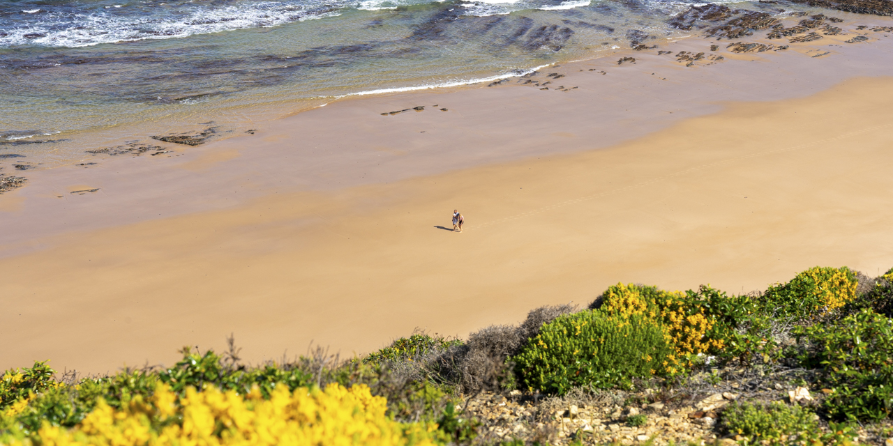 Umgebung der OÁSIS - Ferienhaus